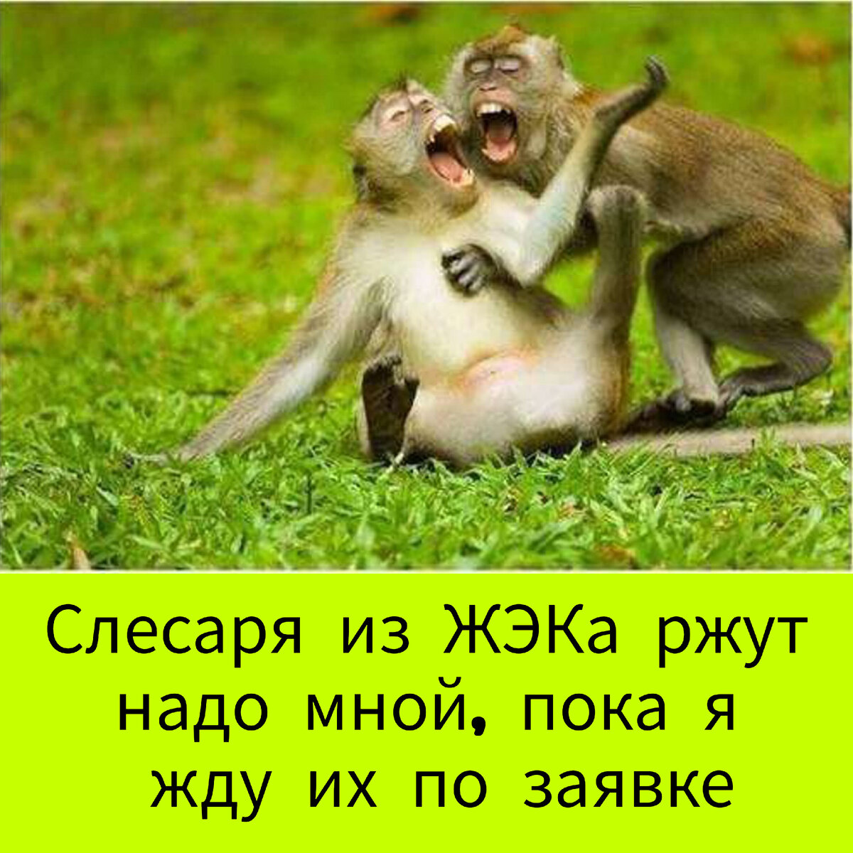 Умора картинки обхохочешься