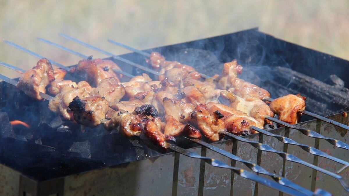     Шашлык. Источник: pixabay.com Автор фото: Dolgion Kh
