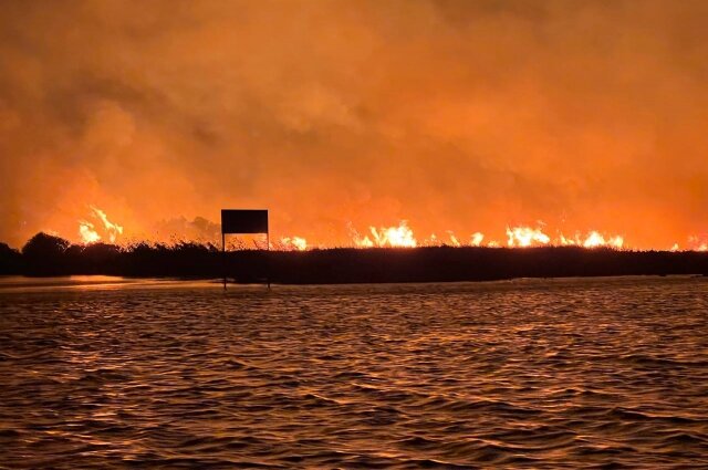    Фото: Астраханский биосферный заповедник