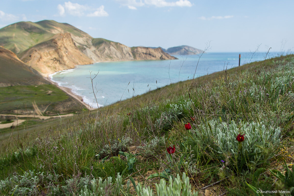 Весна в Тихой бухте.