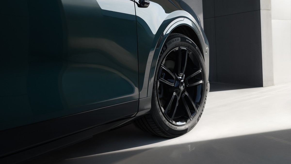 Черные колесные диски на рестовой VOYAH FREE