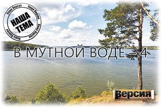    В мутной воде – 4