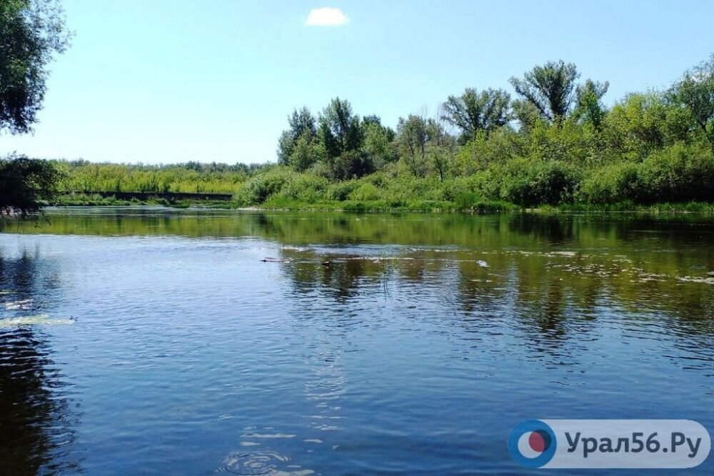    Урал у Оренбурга — 893 см, у Орска — 430 см. Уровень воды снизился, но не везде