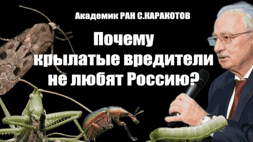 Академик РАН Салис Каракотов. Почему крылатые вредители не любят Россию? / #АНДРЕЙУГЛАНОВ #ЗАУГЛОМ