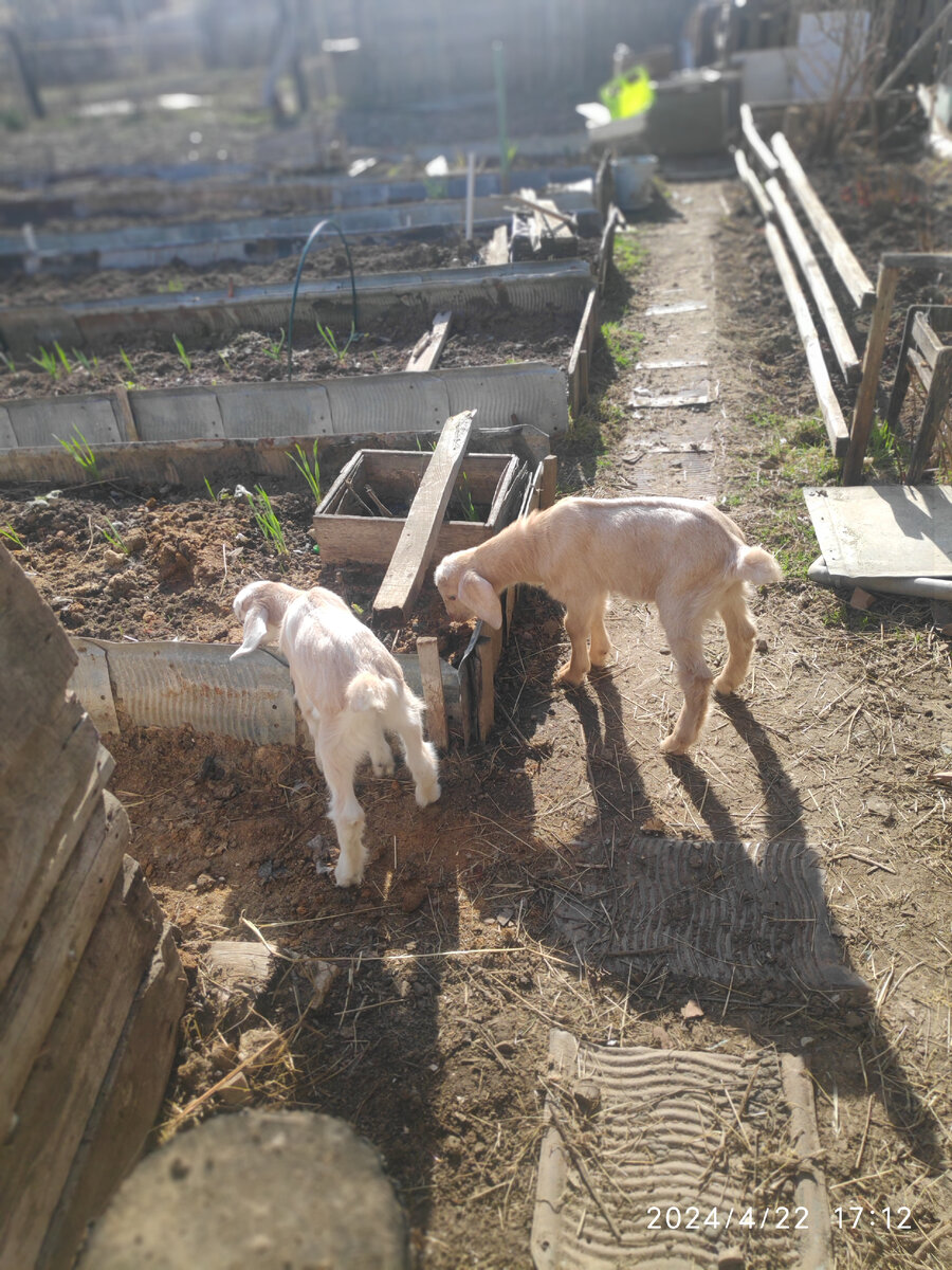 Знакомятся с улицей