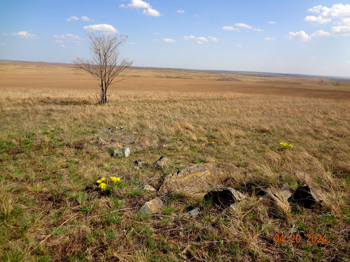 Степь, да степь кругом...
