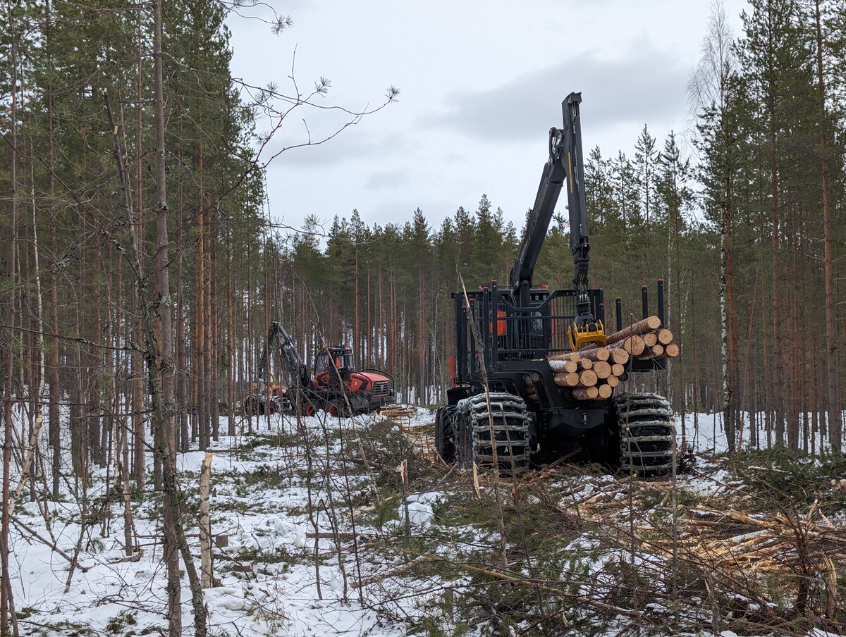 Первые полевые испытания проходят на площадке лесопромышленного холдинга Segezha Group в Карелии.