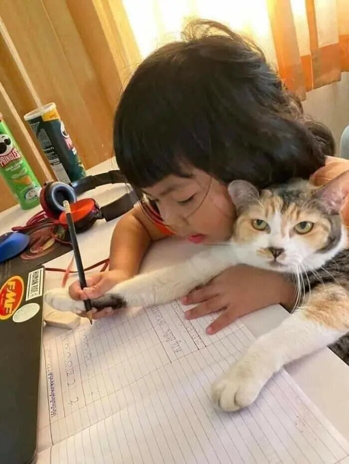 Девочка учит свою кошку писать.© Соцсети
