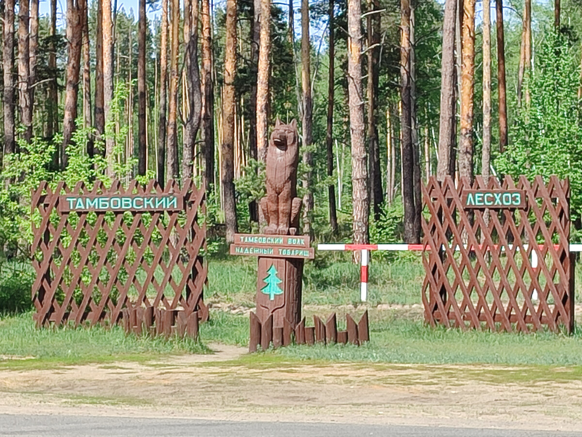 Прогулка по весеннему Тамбову - усадьба, улицы, храмы и, конечно же,  дружелюбный волк | Гуляем и смотрим | Дзен