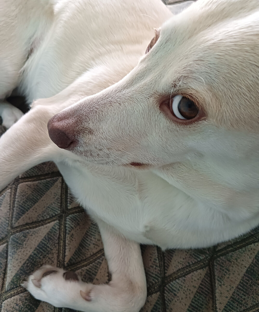 А я что? Я ничего!