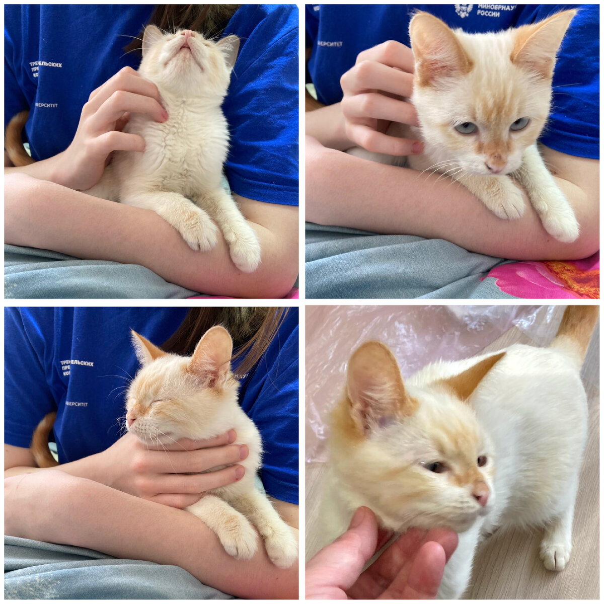 Первый вечер с нами