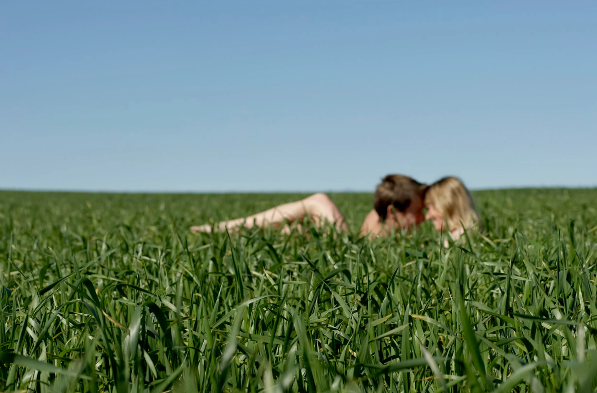     None Фото: Соцсети