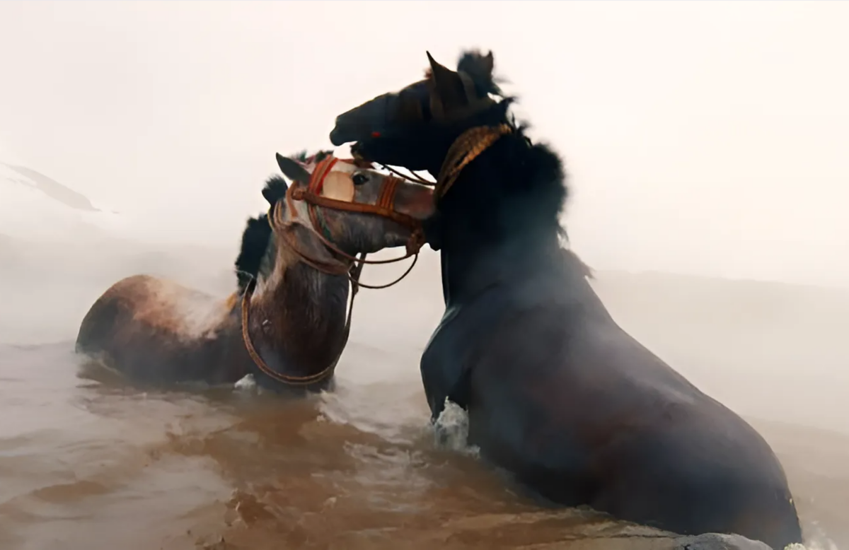    Фото: архивы пресс-служб Дмитрий Евстратов