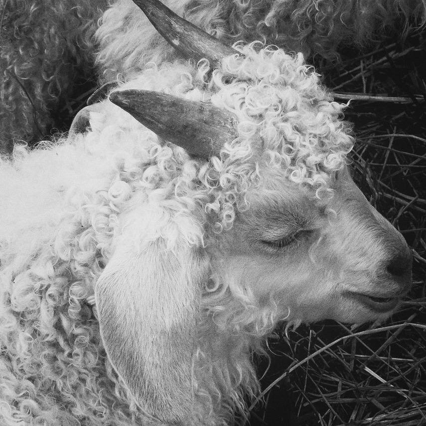 © Свет и Тени