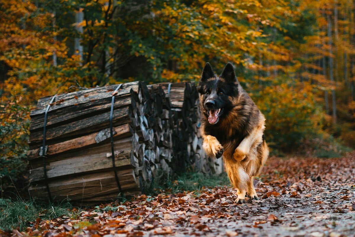 Фото предоставлено сайтом Pexels.