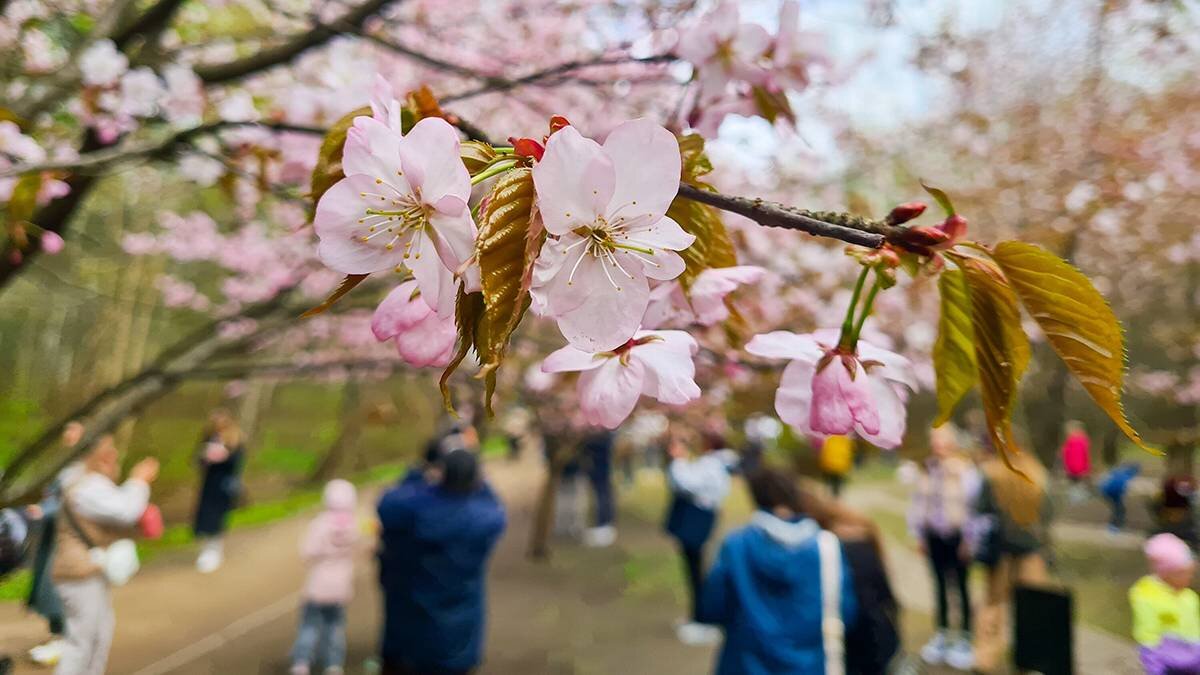    Фото: Денис Воронин / АГН Москва