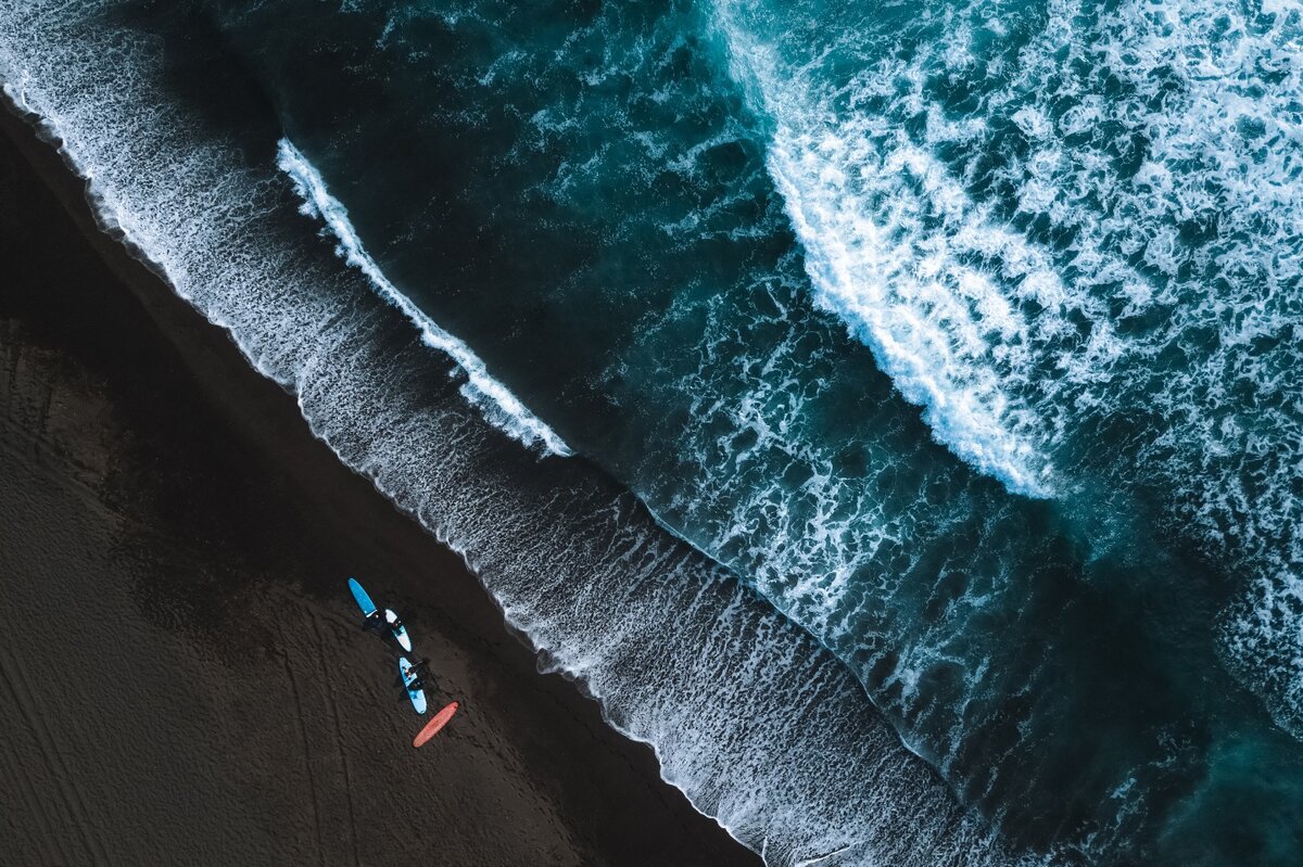    Победитель 2023 года Андрей Белавин, moya-planeta.ru