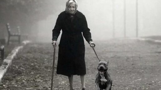 Загнанный пес попал во двор к странной старушке, которая решила приютить зверя, а пес позже отплатил ей за доброту