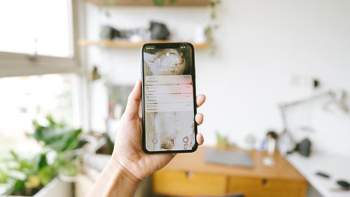    Телефон в руке:Pixabay