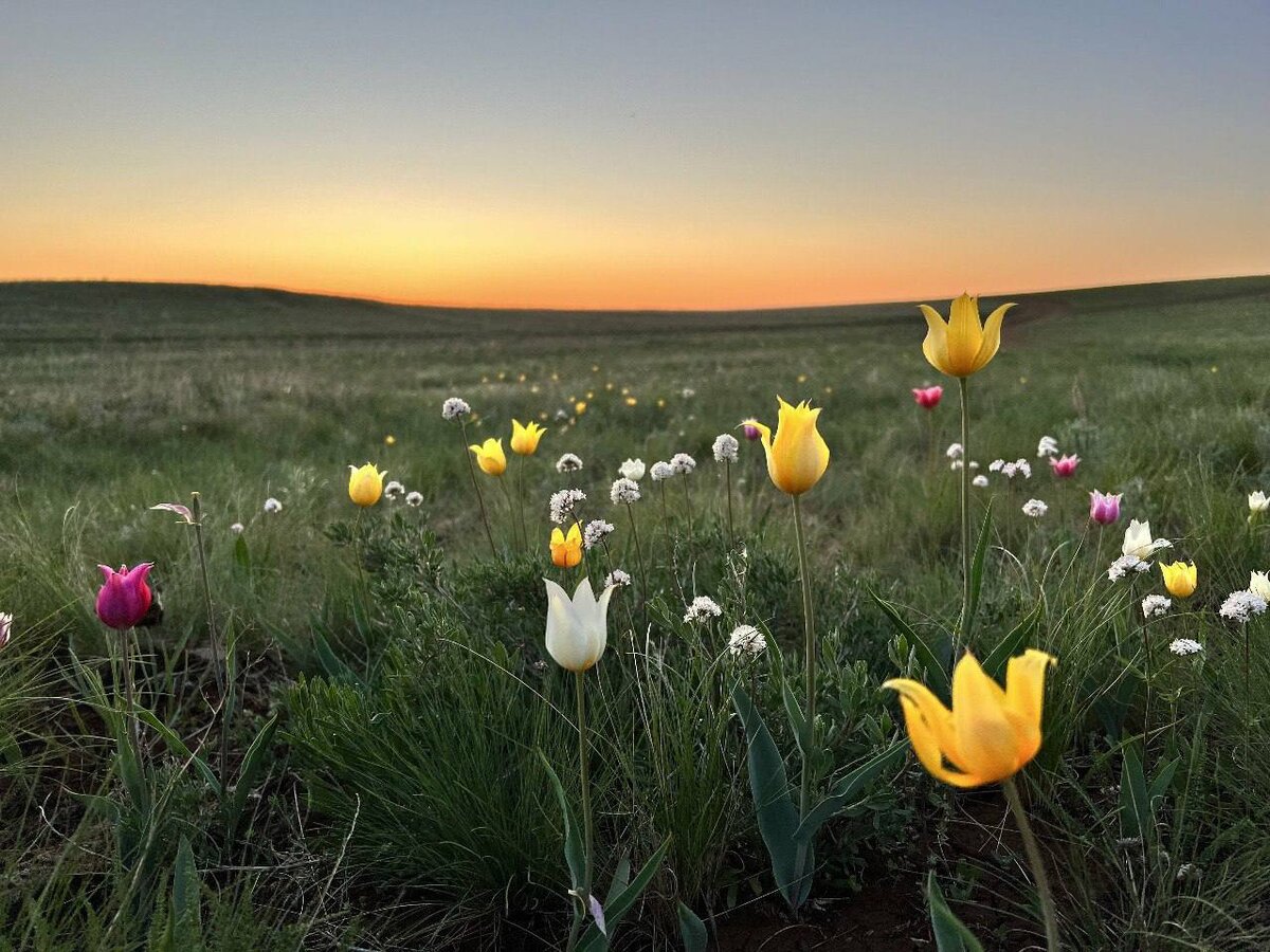    В Оренбуржье 27 апреля открывается туристический сезон Белов Михаил Александрович