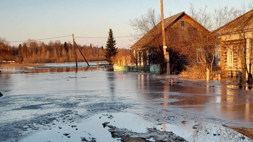 Паводок в камне на оби 2024