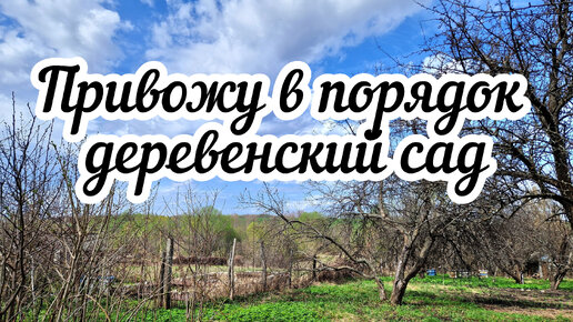 Привожу в порядок деревенский сад 🌳🌷