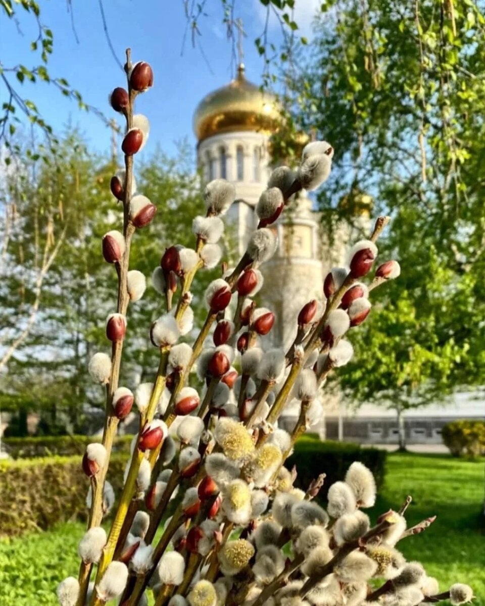 Источник. Яндекс. Картинки
