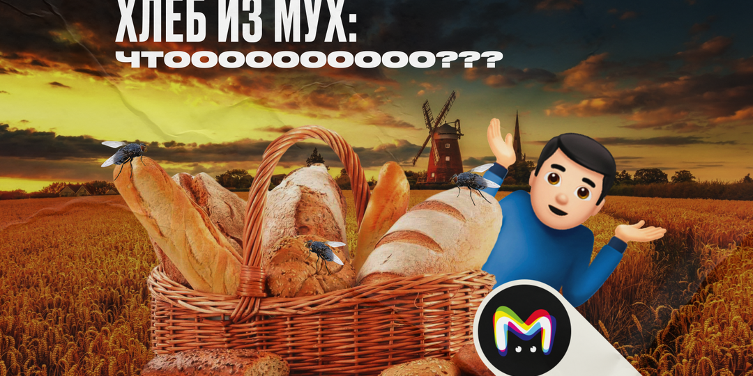 В России научились печь хлеб из мух