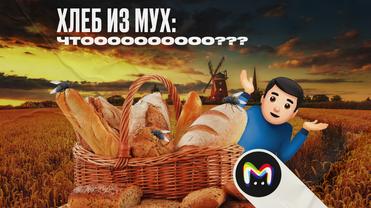 В России начали печь хлеб с добавлением мух