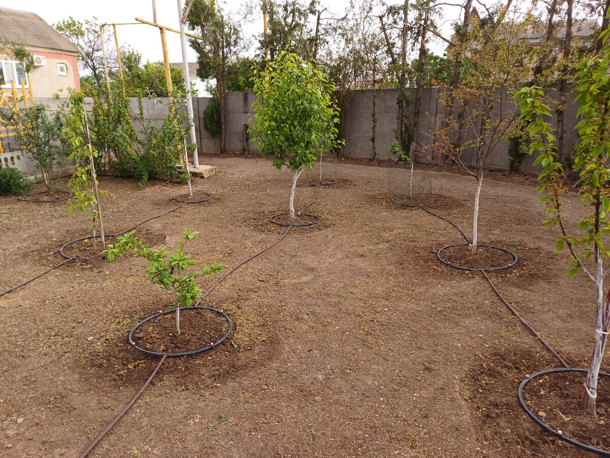 Вот такая система полива у меня получилась