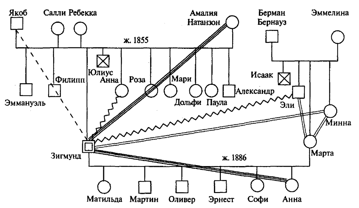 Пример геносоциограмма
