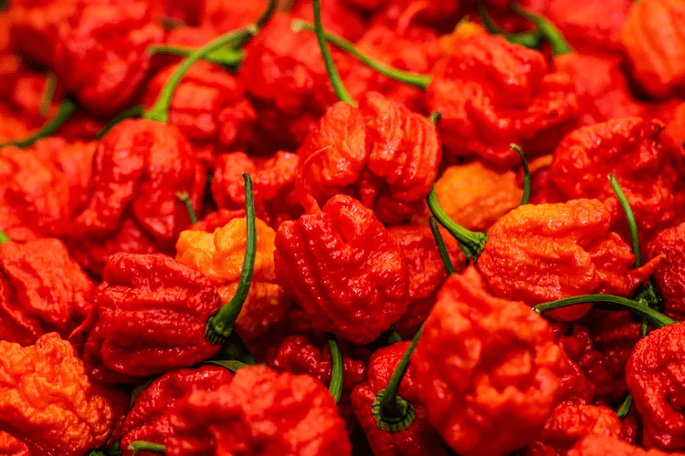 Перец Carolina Reaper