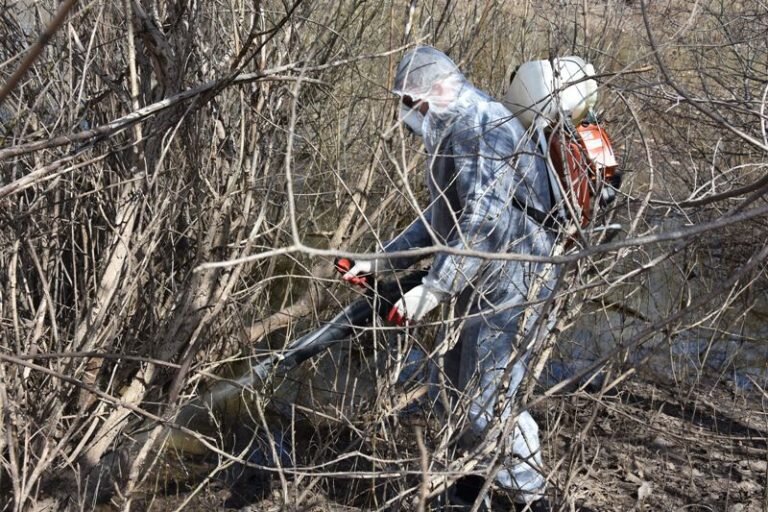    Оренбург с 1 мая начнут обрабатывать от комаров Марина Шарт