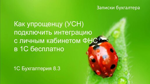 Как упрощенцу на УСН подключить интеграцию с личным кабинетом ФНС в 1С бесплатно.