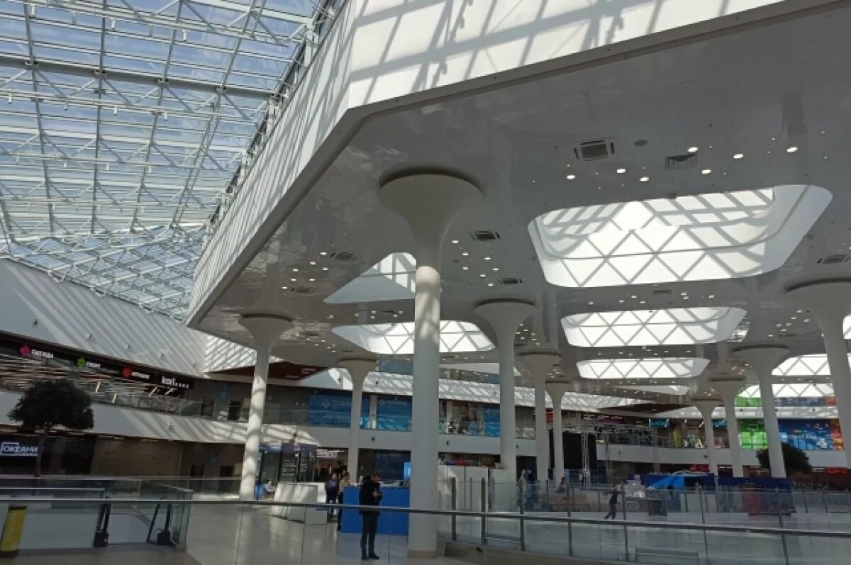    Названа предположительная причина падения лифта в нижегородском «Океанисе»