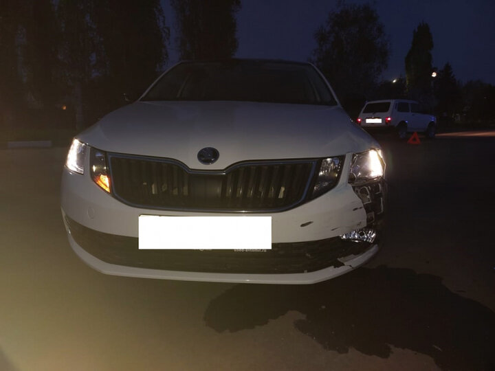     Фото: Госавтоинспекция Тамбовской области