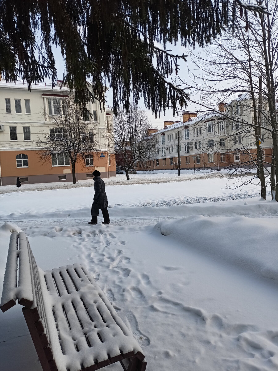 Знакомимся с районами Великого Новгорода. Центр | Сибирский ветер.  Переехавшие в Великий Новгород из Сибири | Дзен