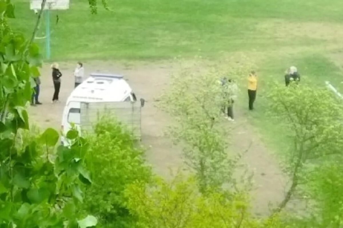    Бригада скорой прибыла уже через считанные минуты.