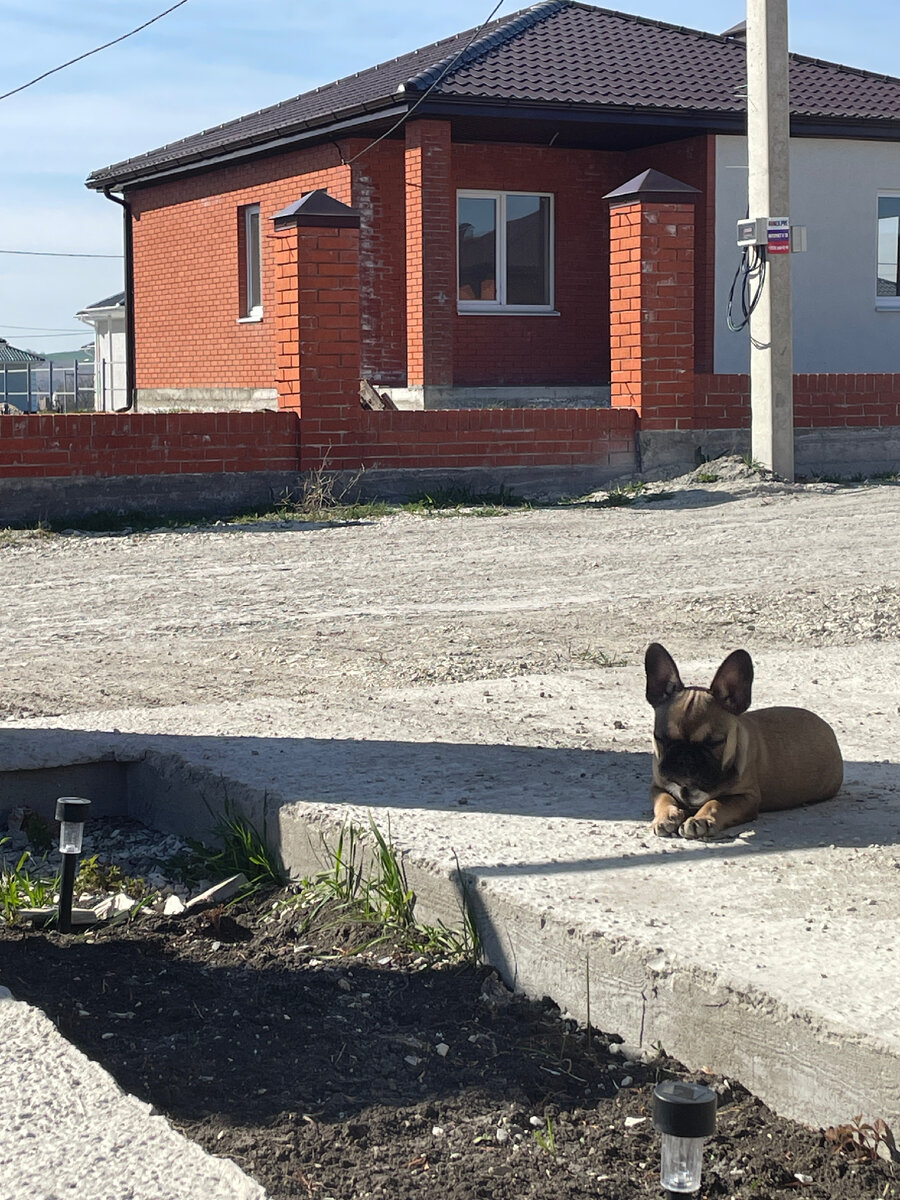 Фото автора 