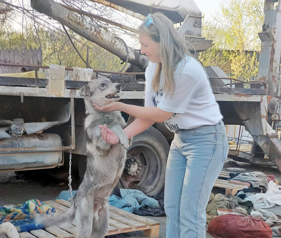 Фото предоставлено группой «Джульбарс»