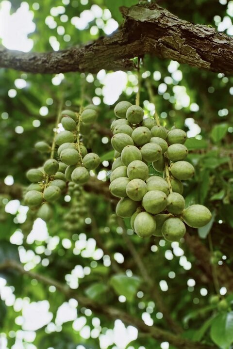 Фото: Unsplash.com