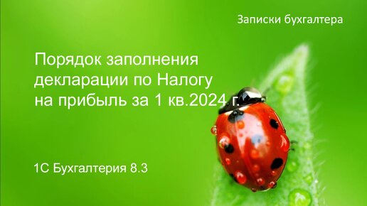 Декларация по налогу на прибыль 1 квартал 2024 года в 1С