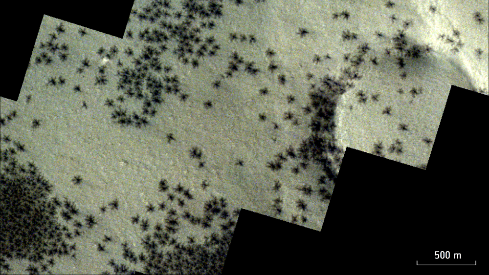     Фото: ESA/TGO/CaSSIS Орбитальный аппарат ExoMars Trace Gas Orbiter особенно четко изобразил узоры, похожие на пауков, растопыривших лапки.