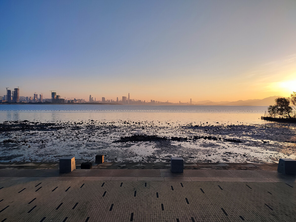 На берегу Shenzhen Bay Park