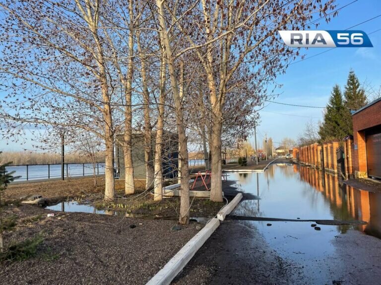    Паслер с главами Орска и Оренбурга озвучил Президенту РФ актуальные для жителей вопросы Белов Михаил Александрович