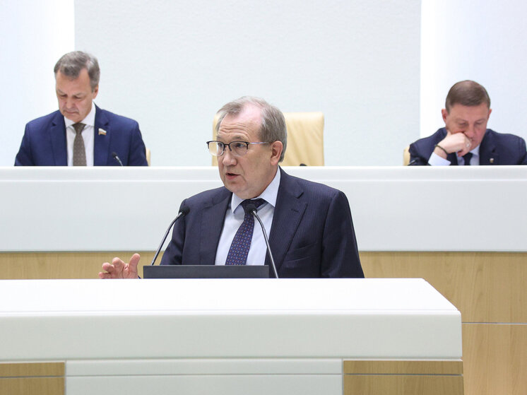     Фото: council.gov.ru