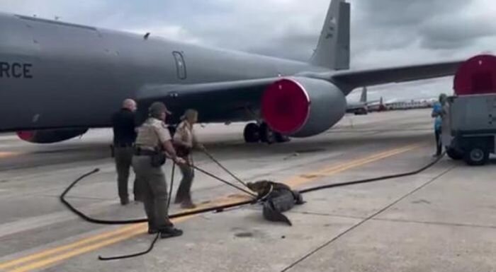 Источник фото: скриншот видео