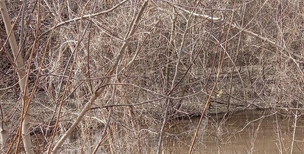 Фотография из личного архива автора