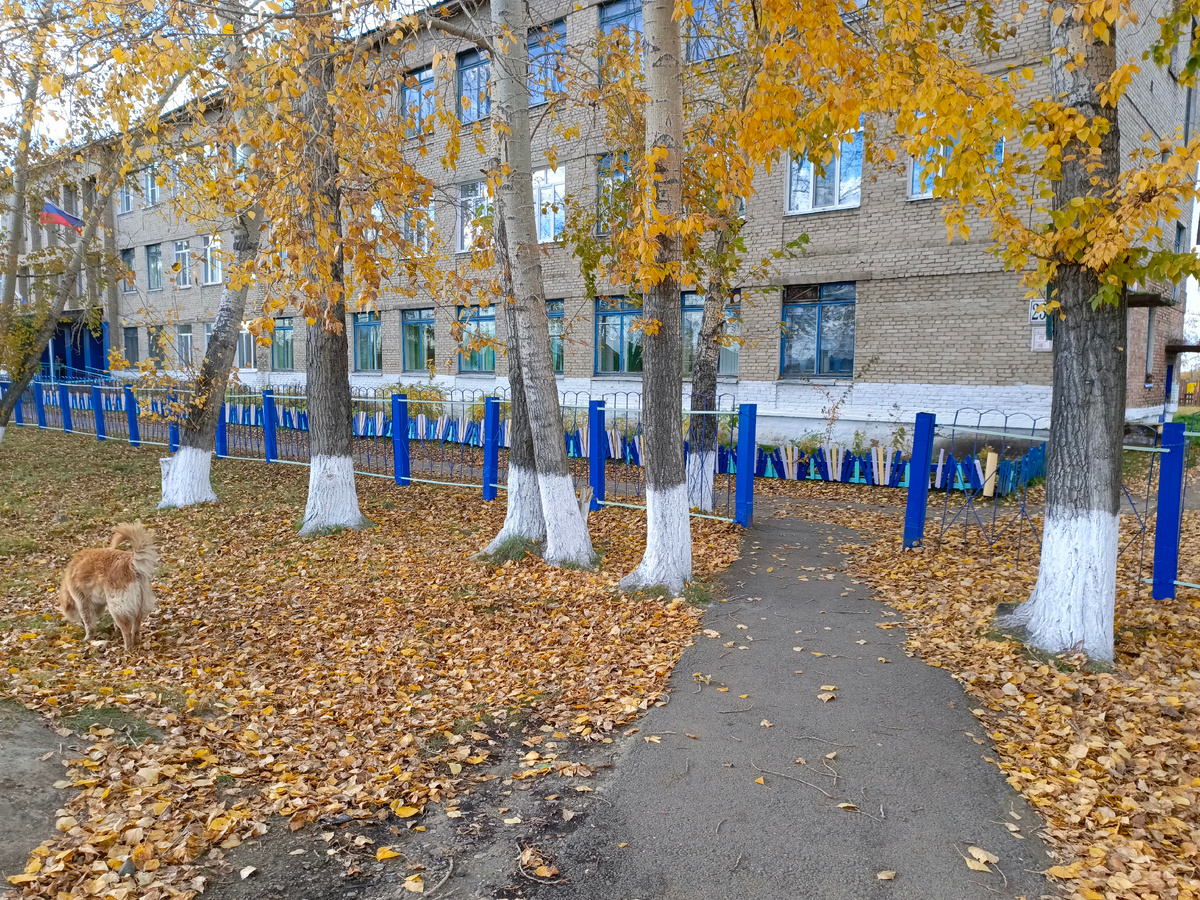 Родная школа 9