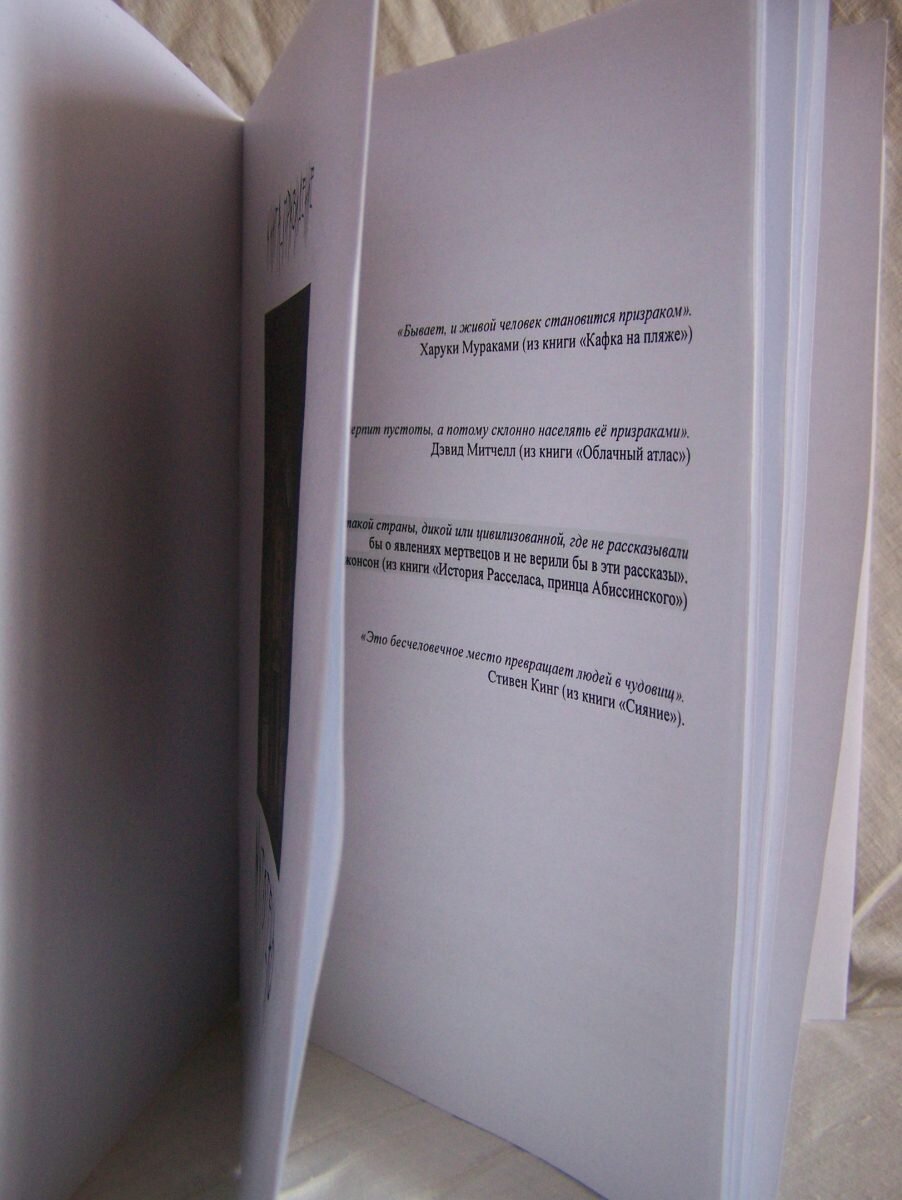    Фото: Нижегородский Бэнкси ВКонтакте